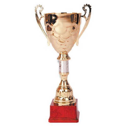 Copa dorada MT 08