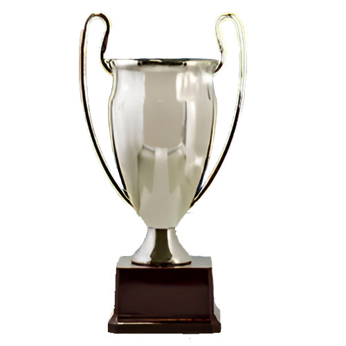 Copa Plateada Champions Euro cup Pequeña